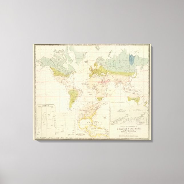 Lienzo Salud, enfermedad (Anverso)