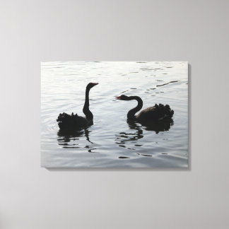 Lienzo Saludo de los cisnes negros