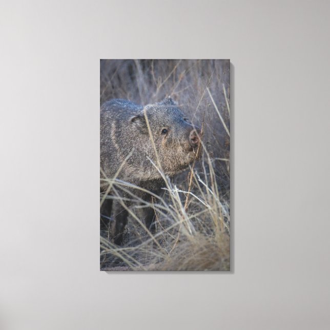 Lienzo saludo picggy (Anverso)