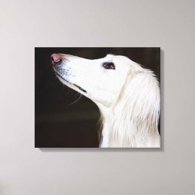 Lienzo Saluki Mirando (Anverso)
