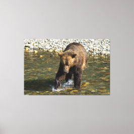 Lienzo Salvaje Grizzly Tratando De Captar Salmón En El To