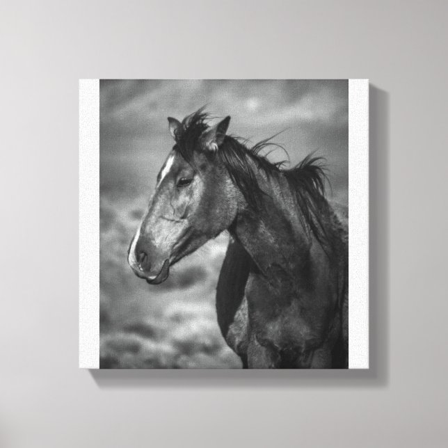 Lienzo Salvajes y libres (Anverso)