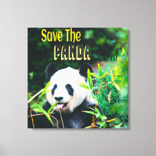 Lienzo Salvar el Panda
