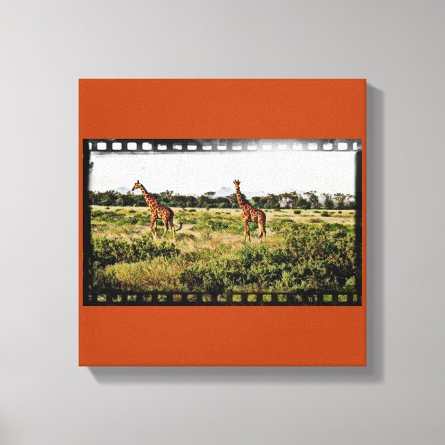 Lienzo Samburu Giraffes (Anverso)
