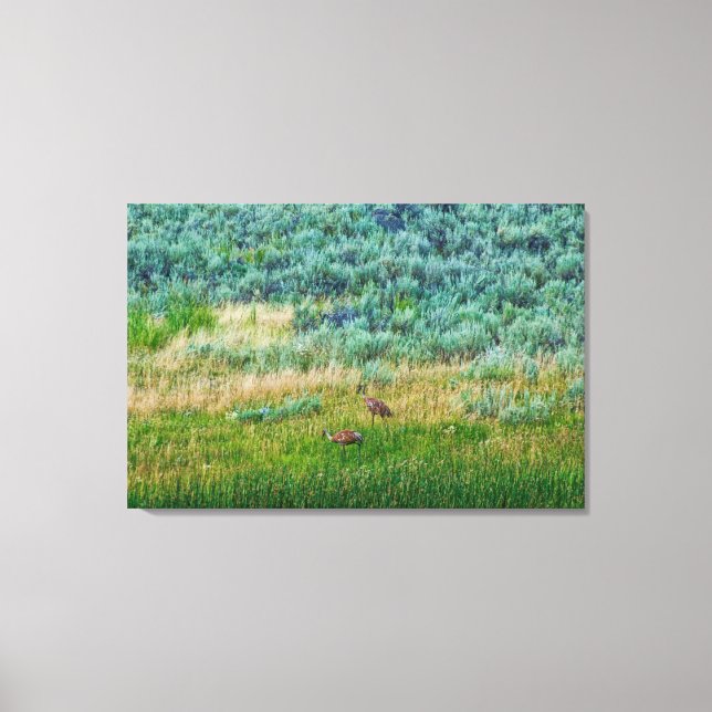 Lienzo Sandhill Cranes (Anverso)