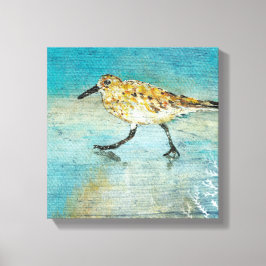 Lienzo Sandpiper Wading Shorebird Weatherman Look Canvas