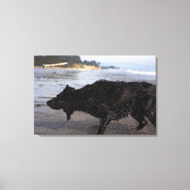 Lienzo Santa Bárbara, California, Estados Unidos 2 (Anverso)