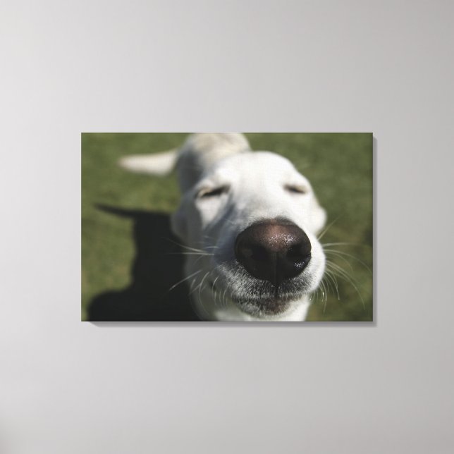 Lienzo Santa Fe, Nuevo México (Anverso)