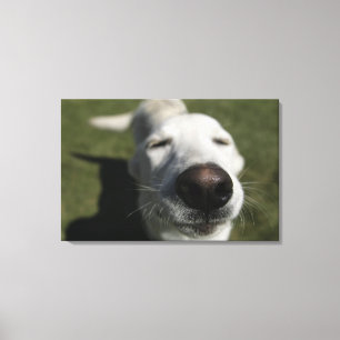 Lienzo Santa Fe, Nuevo México