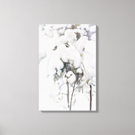 Lienzo Saplings de pinos cubiertos de nieve (por Pekka Ha