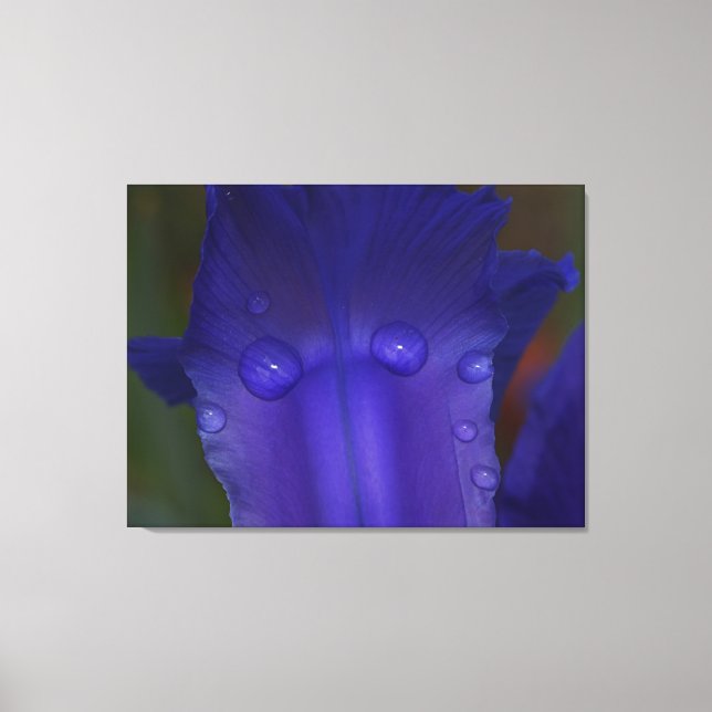 Lienzo Sapphire Serenity  (Anverso)