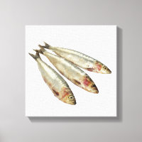 Sardinas (Pilares)