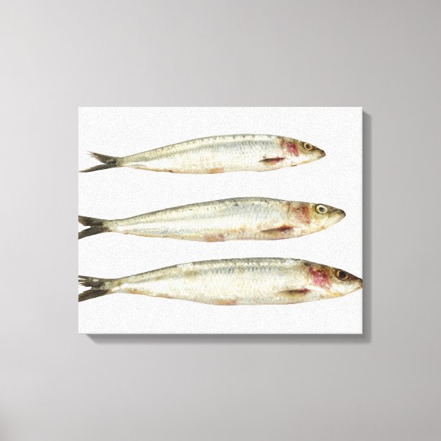 Lienzo Sardinas (Pilares) 2 (Anverso)