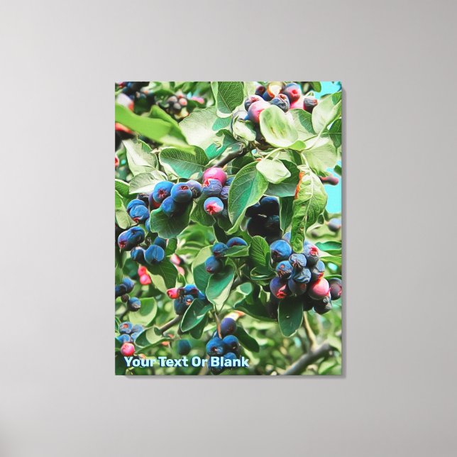 Lienzo Saskatoon (Anverso)