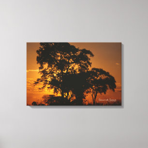 Lienzo Savannah Sunset