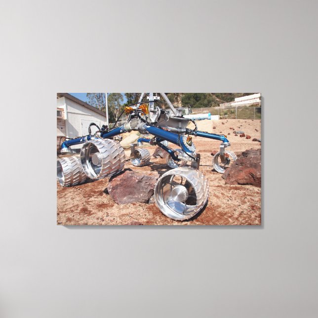 Lienzo Scarecrow, un modelo de pruebas de movilidad (Anverso)