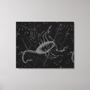 Lienzo Scorpio Constellation Hevelius 1690 en negro