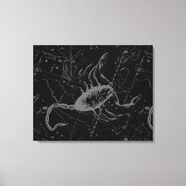 Lienzo Scorpio Constellation Hevelius 1690 en negro (Anverso)
