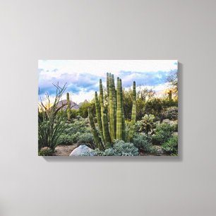 Lienzo Scottsdale Succulent Sunset