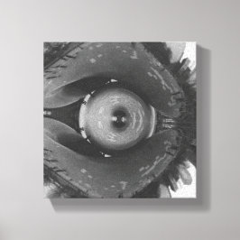 Lienzo Scrunched Chicago Eye