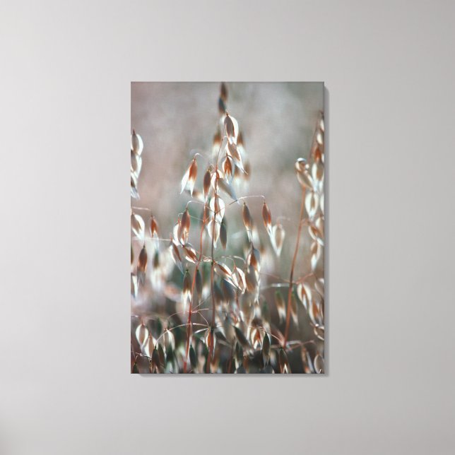 Lienzo Se Acaban Las Ovejas (Avena Sativa). Ceres, Boland (Anverso)