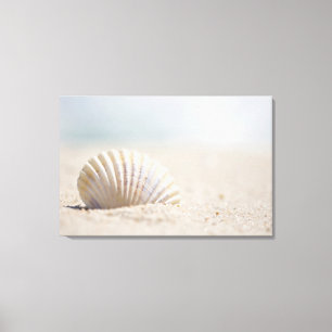 Lienzo Seashell del molusco