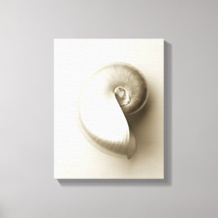 Lienzo Seashell del nautilus de la perla
