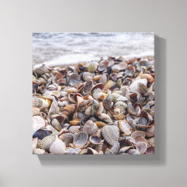 Lienzo Seashell Serenade