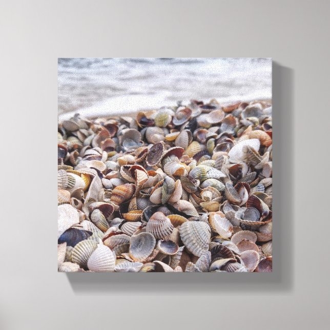 Lienzo Seashell Serenade (Anverso)