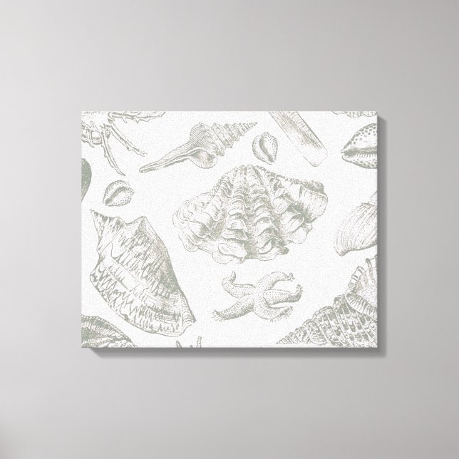 Lienzo Seashell Soft Antique Art Beach Shells (Anverso)