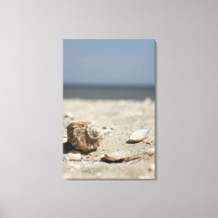 Lienzo Seashells en la arena por el mar