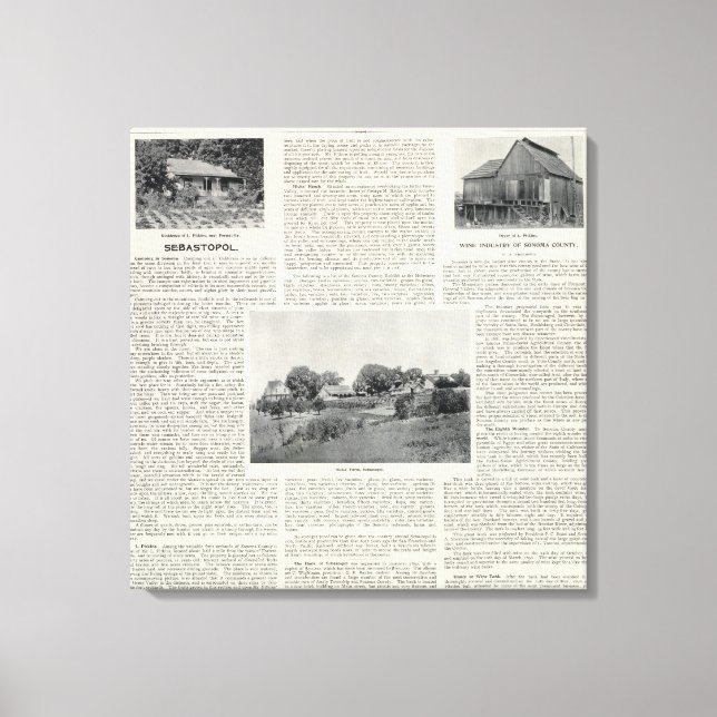 Lienzo Sebastopol, California (Anverso)