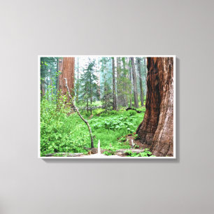 Lienzo Secuoyas gigantes en Grant Grove, CA