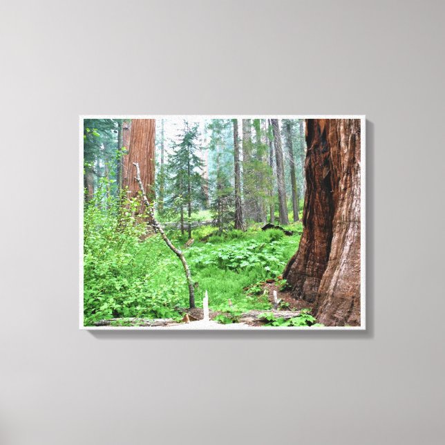 Lienzo Secuoyas gigantes en Grant Grove, CA (Anverso)