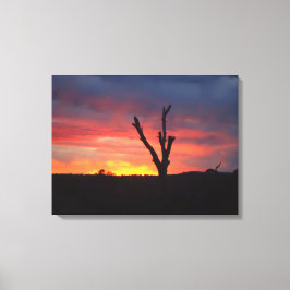 Lienzo Sedona Sunset