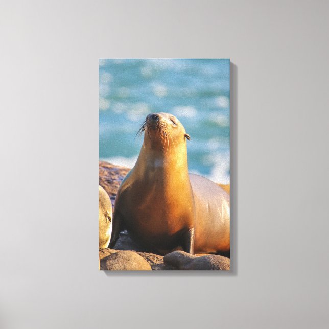 Lienzo Sello 3- ¡No te veo mirando! (Anverso)