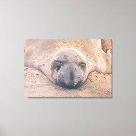 Lienzo Sello para dormir