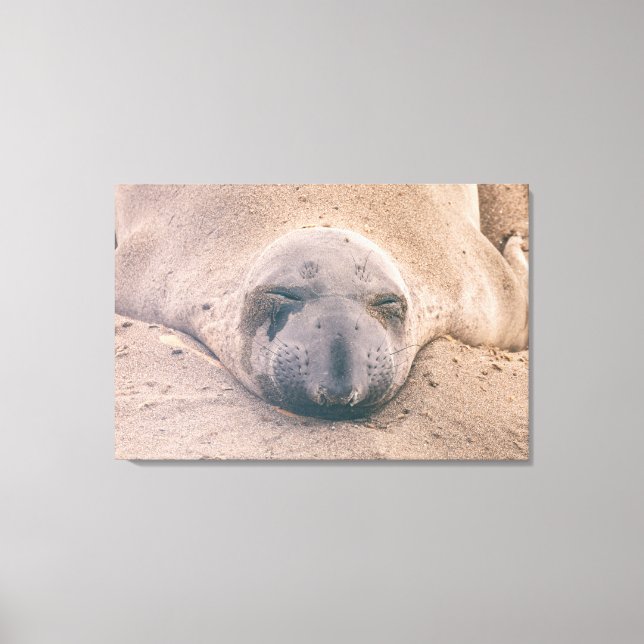 Lienzo Sello para dormir (Anverso)