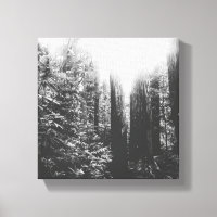 Selva encantada de blanco y negro
