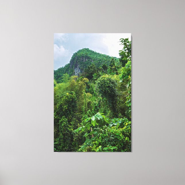 Lienzo Selva exuberante y pico El Yunque (Anverso)