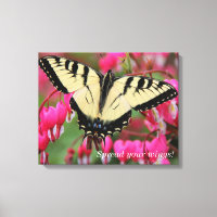 Semilla de Swallowtail oriental