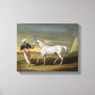 Lienzo Señale, un árabe gris, con un novio en el desier