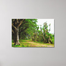 Sendero Arbolado Allee Fotografía De Paisajes Viaj