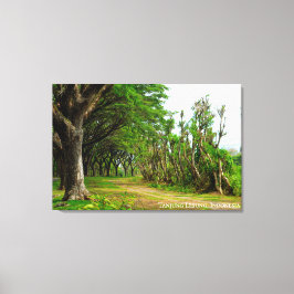 Lienzo Sendero Arbolado Allee Fotografía De Paisajes Viaj