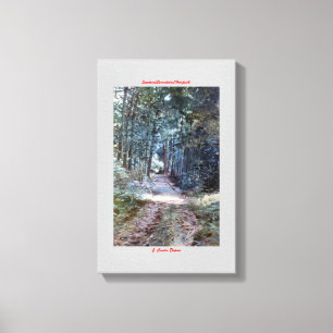 Lienzo Sendero/Corredoira/Footpath