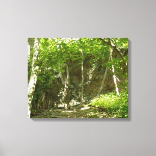 Lienzo Sendero de Descubrimiento Frazier en Shenandoah Fo