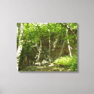 Lienzo Sendero de Descubrimiento Frazier en Shenandoah Fo