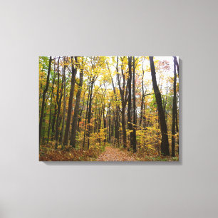 Lienzo Sendero de otoño y hojas doradas en Laurel Hill Pa
