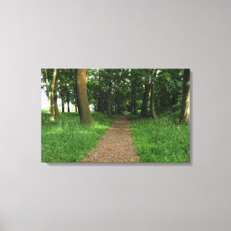 Lienzo Sendero en los bosques, Bute Park, Cardiff
