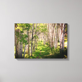 Lienzo Sendero forestal a fines de primavera